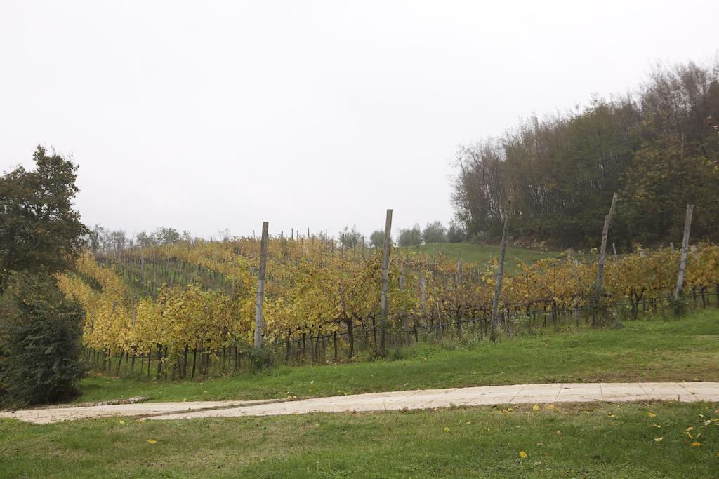 Agriturismo Marani Аркуньяно Экстерьер фото